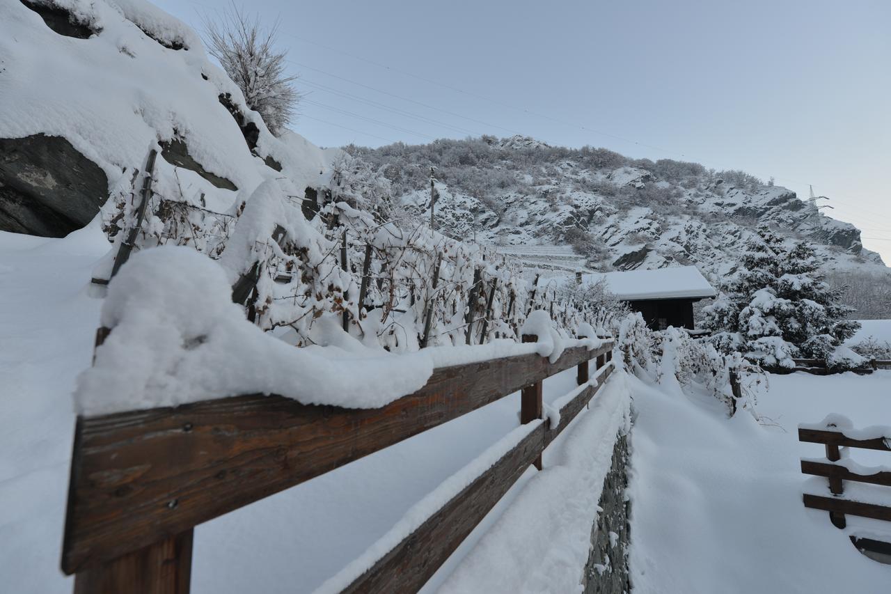 Au Berceau Du Bien-Etre Villa Chambave Екстериор снимка
